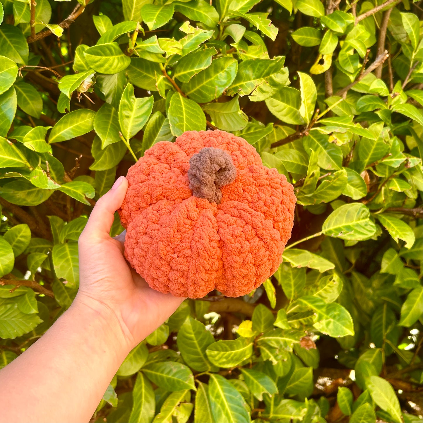 Large Pumpkin